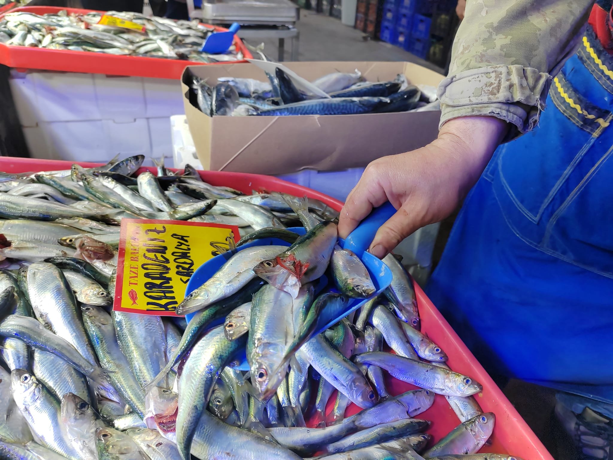 94Eebb63 4B97 4A0F 9737 11E2Abe70D58