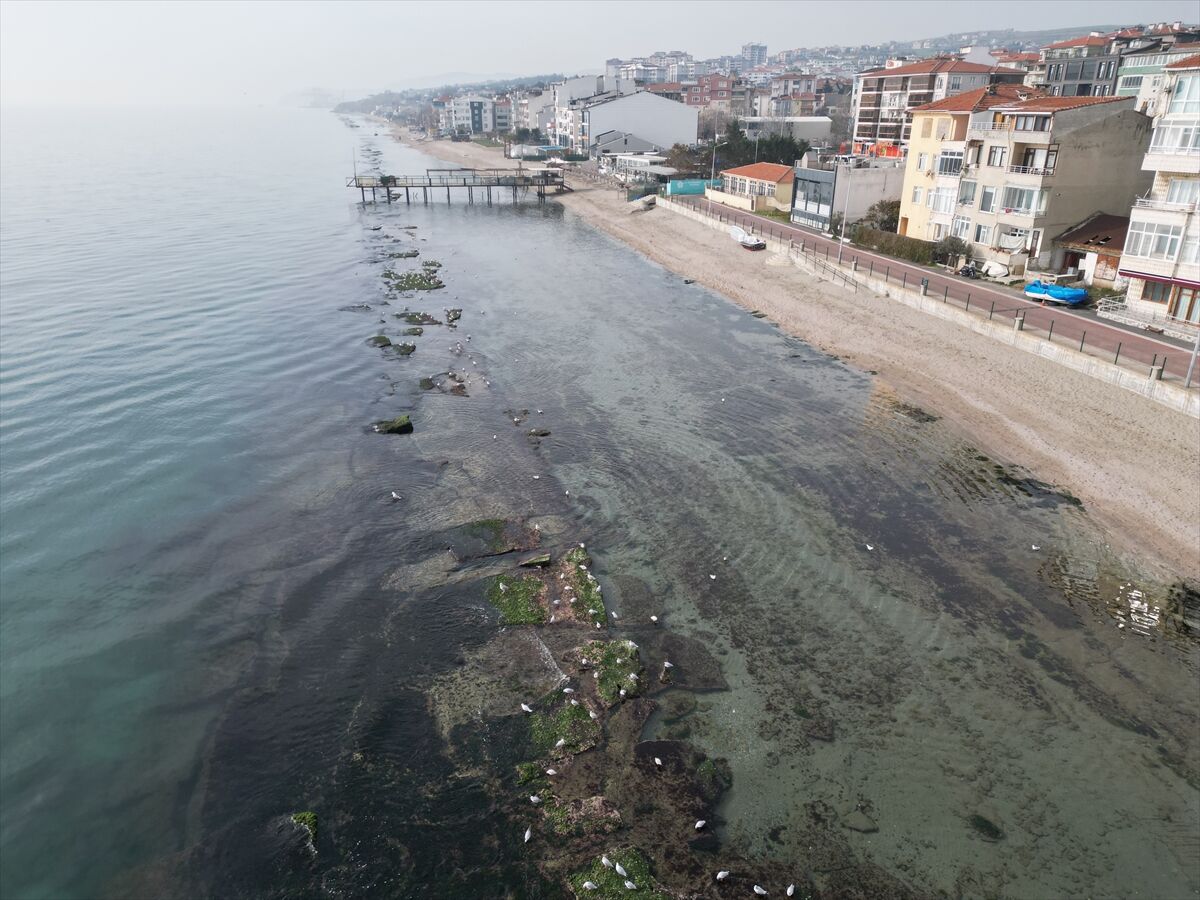 A A 20260305 40738054 40738050 T E K I R D A G D A D E N I Z S U Y U C E K I L D I