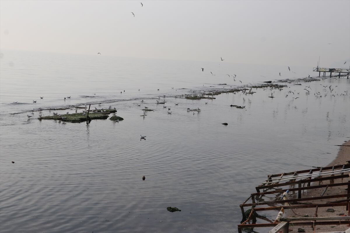 A A 20260305 40738054 40738052 T E K I R D A G D A D E N I Z S U Y U C E K I L D I