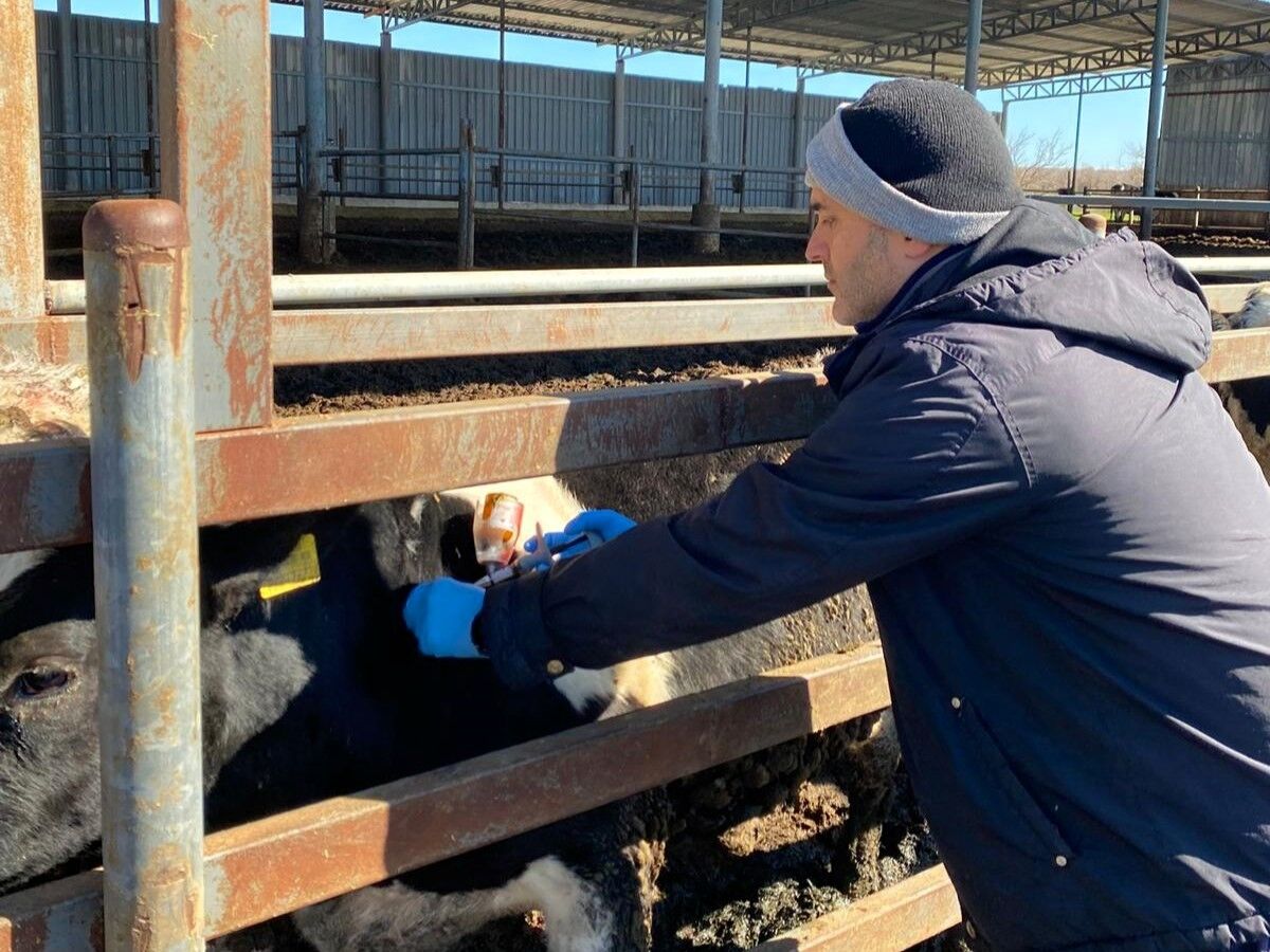 A A 20260316 40835942 40835941 K I R K L A R E L I N D E B U Y U K B A S H A Y V A N L A R A S I L A N I Y O R