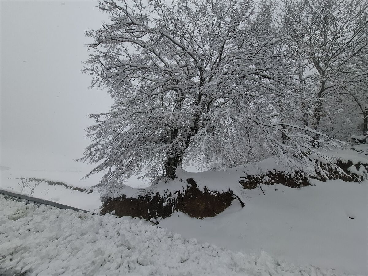 A A 20260320 40885424 40885420 T E K I R D A G V E K I R K L A R E L I N I N Y U K S E K K E S I M L E R I N D E K A R E T K I L I O L U Y O R