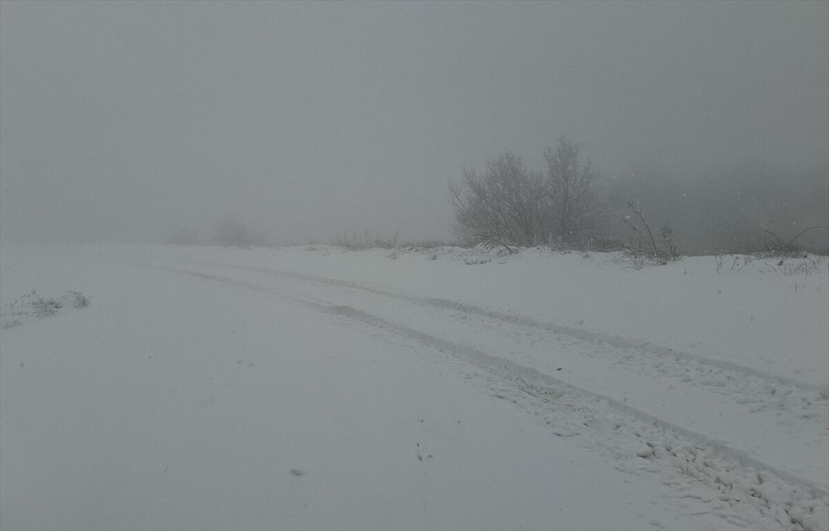 A A 20260320 40885424 40885421 T E K I R D A G V E K I R K L A R E L I N I N Y U K S E K K E S I M L E R I N D E K A R E T K I L I O L U Y O R