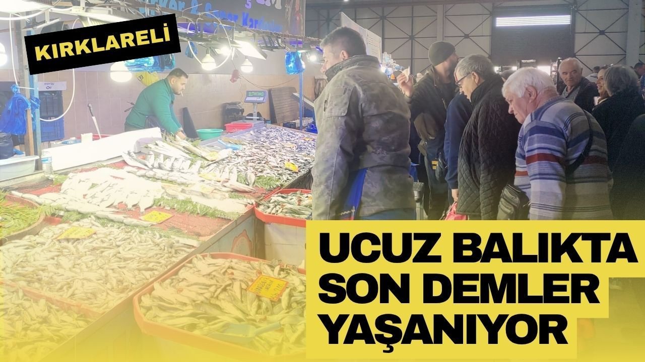 Kırklareli; Ucuz Balıkta Son Demler Yaşanıyor