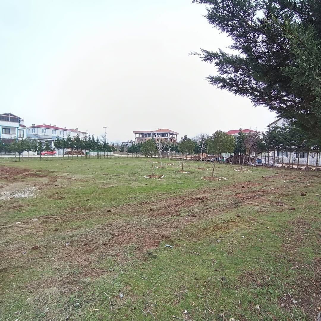 Belediyemiz Ekipleri Tarafından Ağaç Budama Çalışmaları Gerçekleştirilmiştir. Yapılan Budama Çal (4)