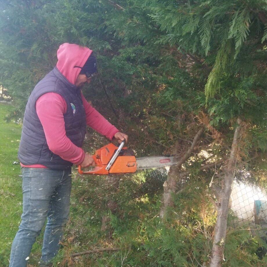 Belediyemiz Ekipleri Tarafından Ağaç Budama Çalışmaları Gerçekleştirilmiştir. Yapılan Budama Çal