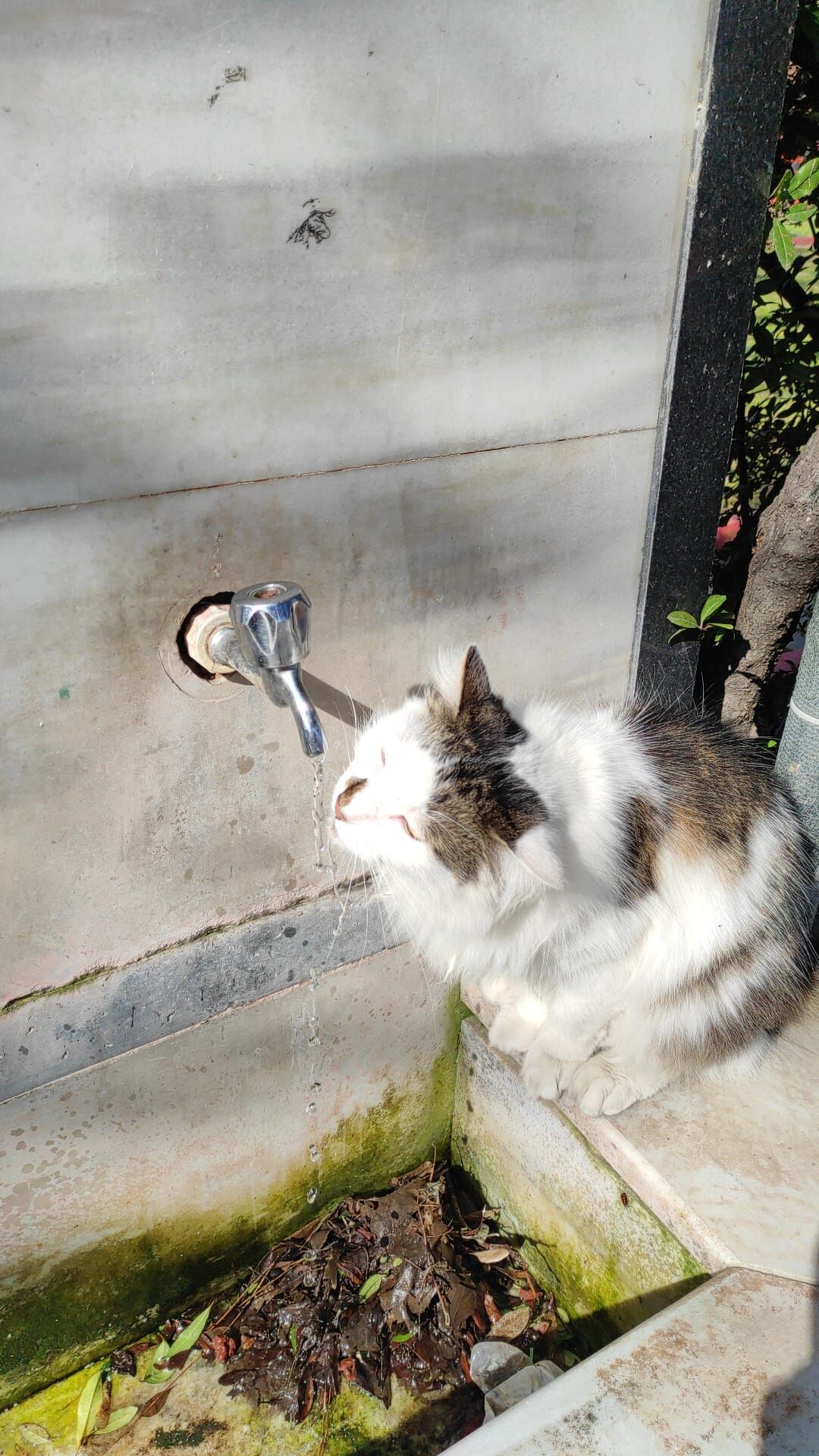 Cd033099 59E1 43F8 B7Dc 447Bb2Bbbf1E