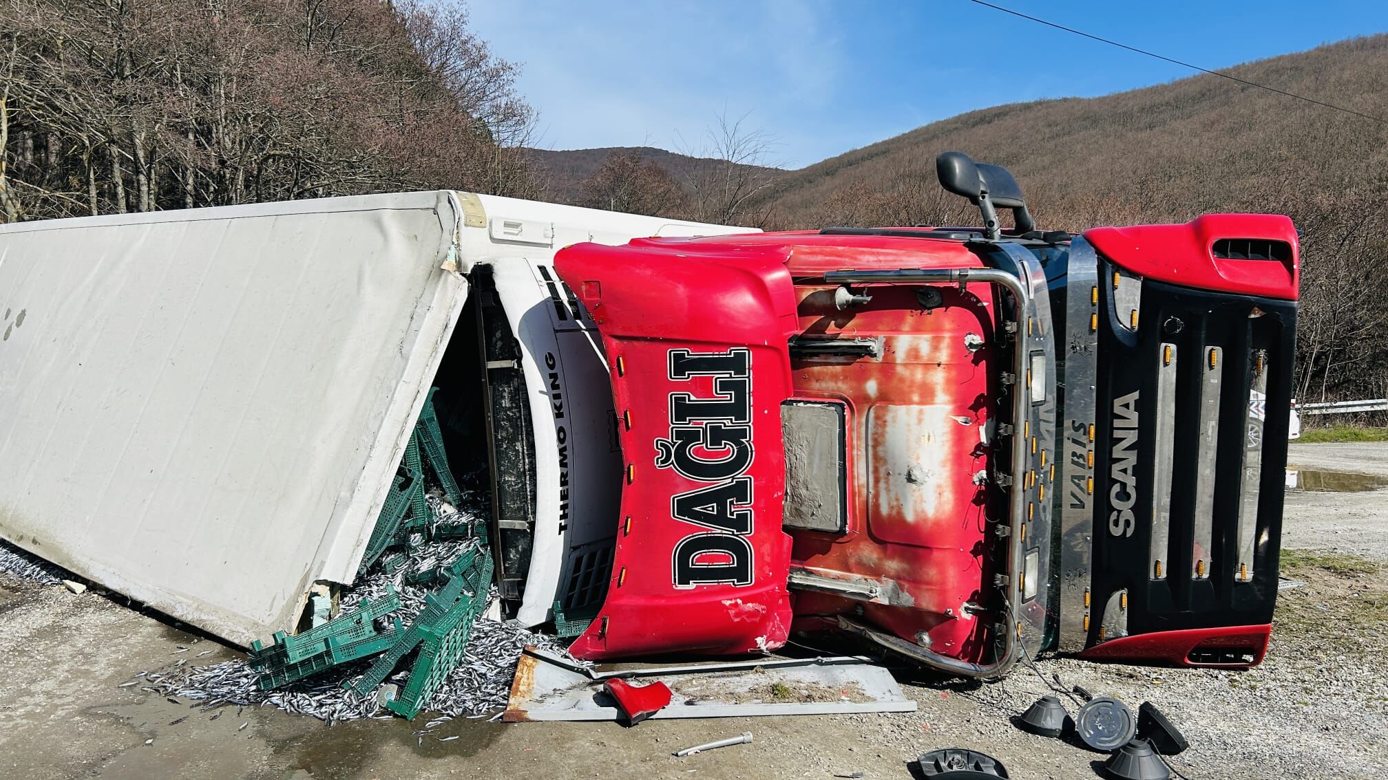 Cde24F96 6350 41A7 B25C 6073Dee8D473