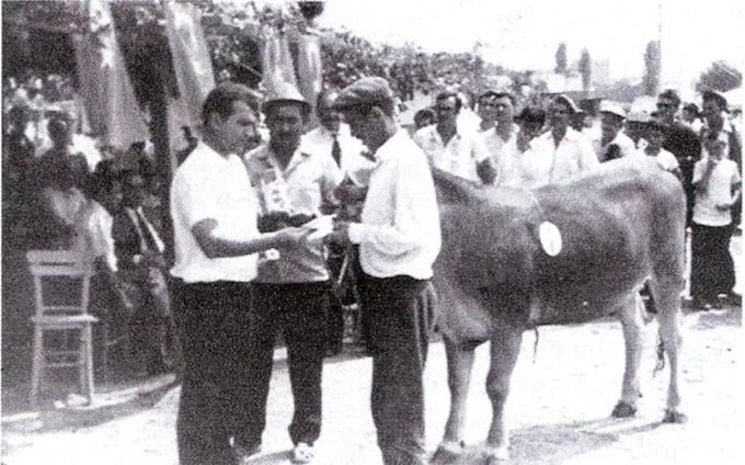 Clipboard 03 30 2026 02