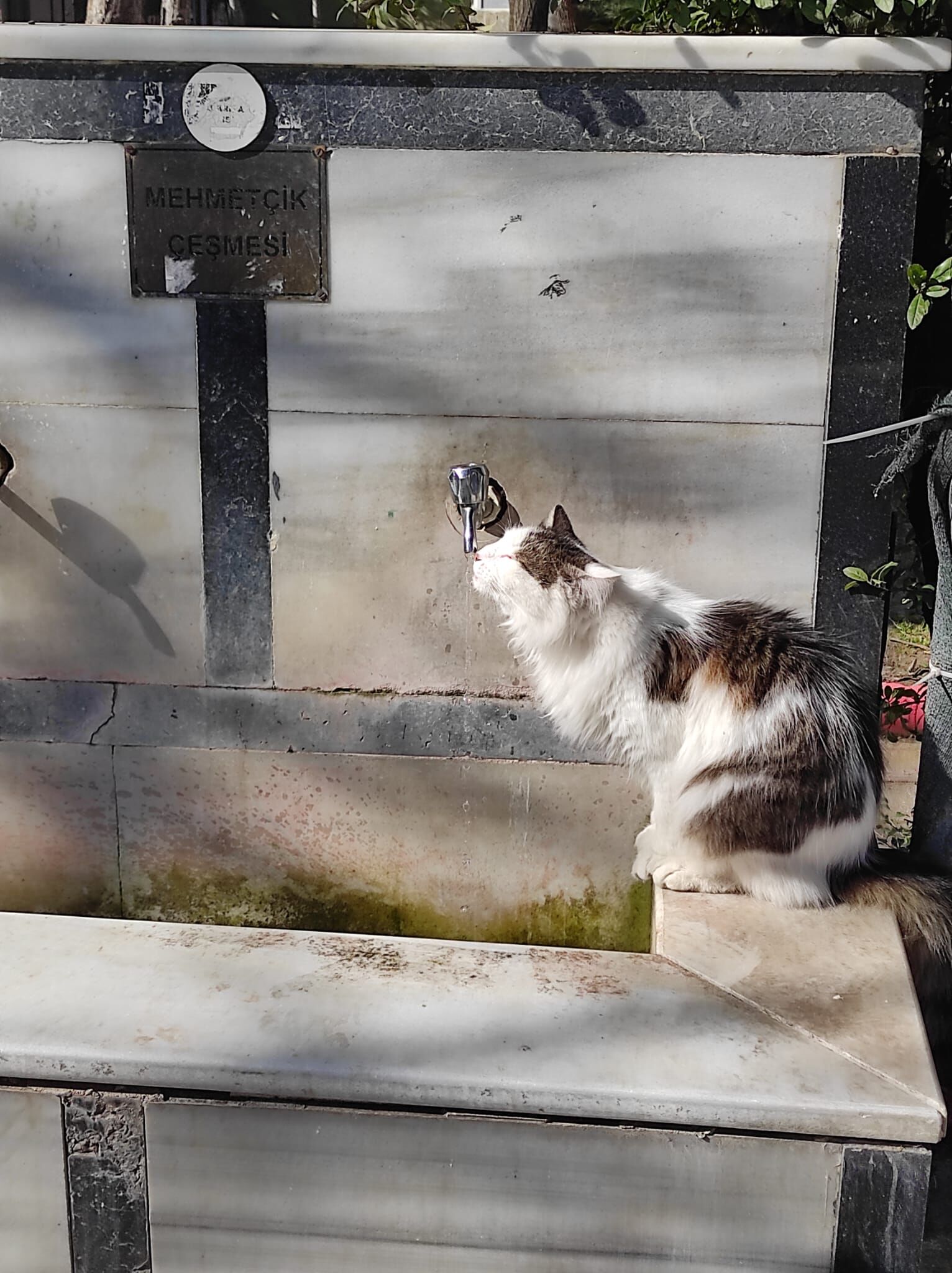 E42Bd8C9 3064 4E65 8Ebf Aff74C821D67