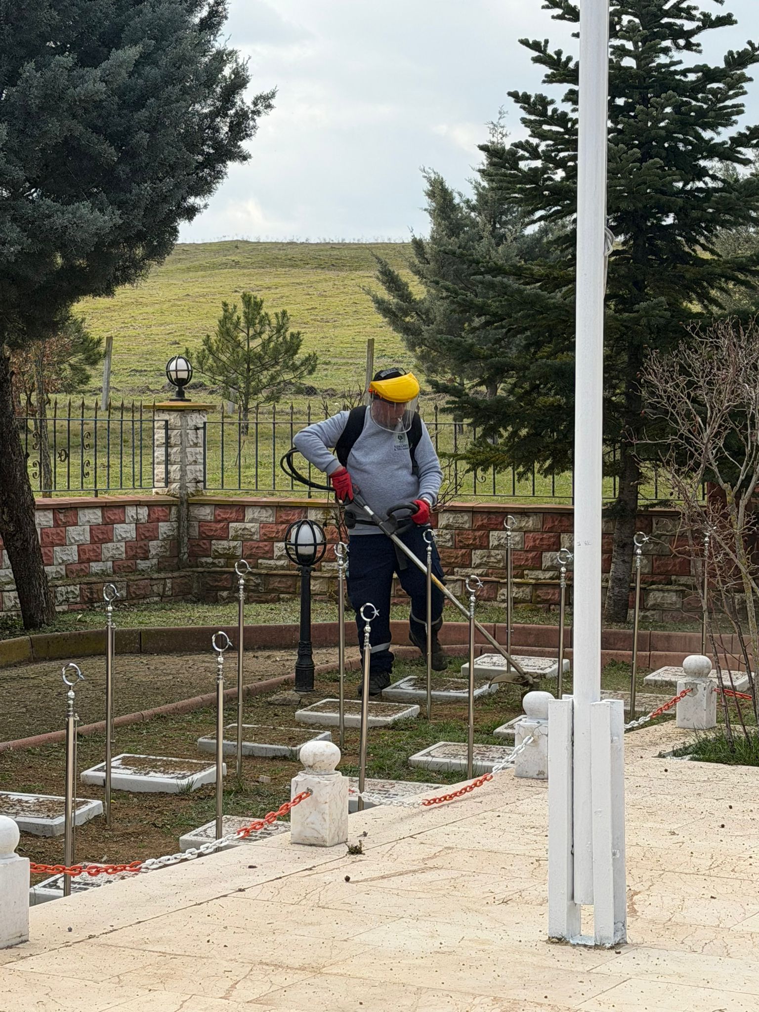 E936Ddef 8083 4C76 A9D3 0224D7566082