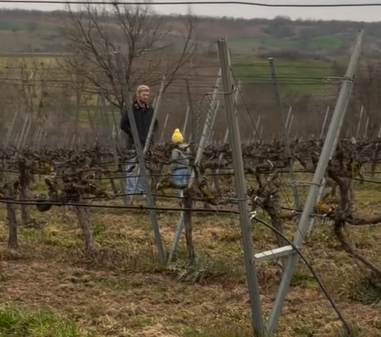 Ekran Görüntüsü 2026 03 23 094936