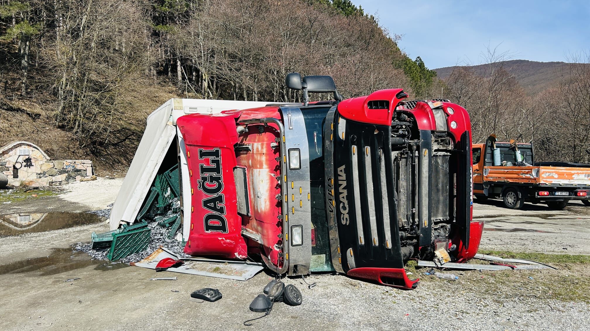 F5Efd10F 794B 413D 9Db3 5Ea7E3D96E1E