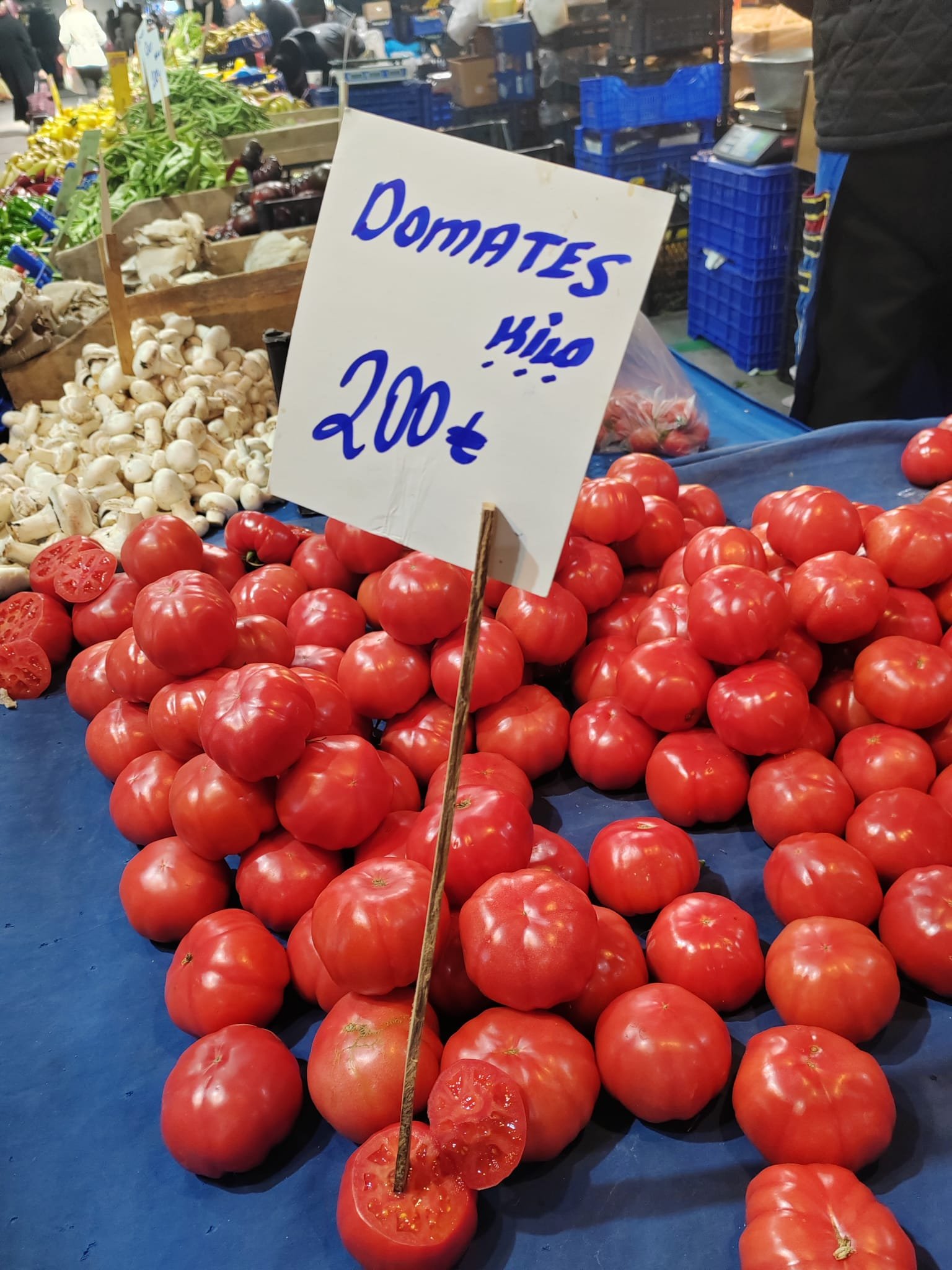 F65D66E8 359A 43D1 Aa4B 852Ef14Fc9B3