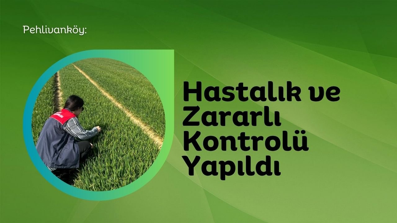 Pehlivanköy: Hastalık ve Zararlı Kontrolü Yapıldı
