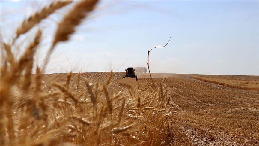 Thumbs B C 7F344317145C3Eee1Ab7D4Fe9B4Ac687