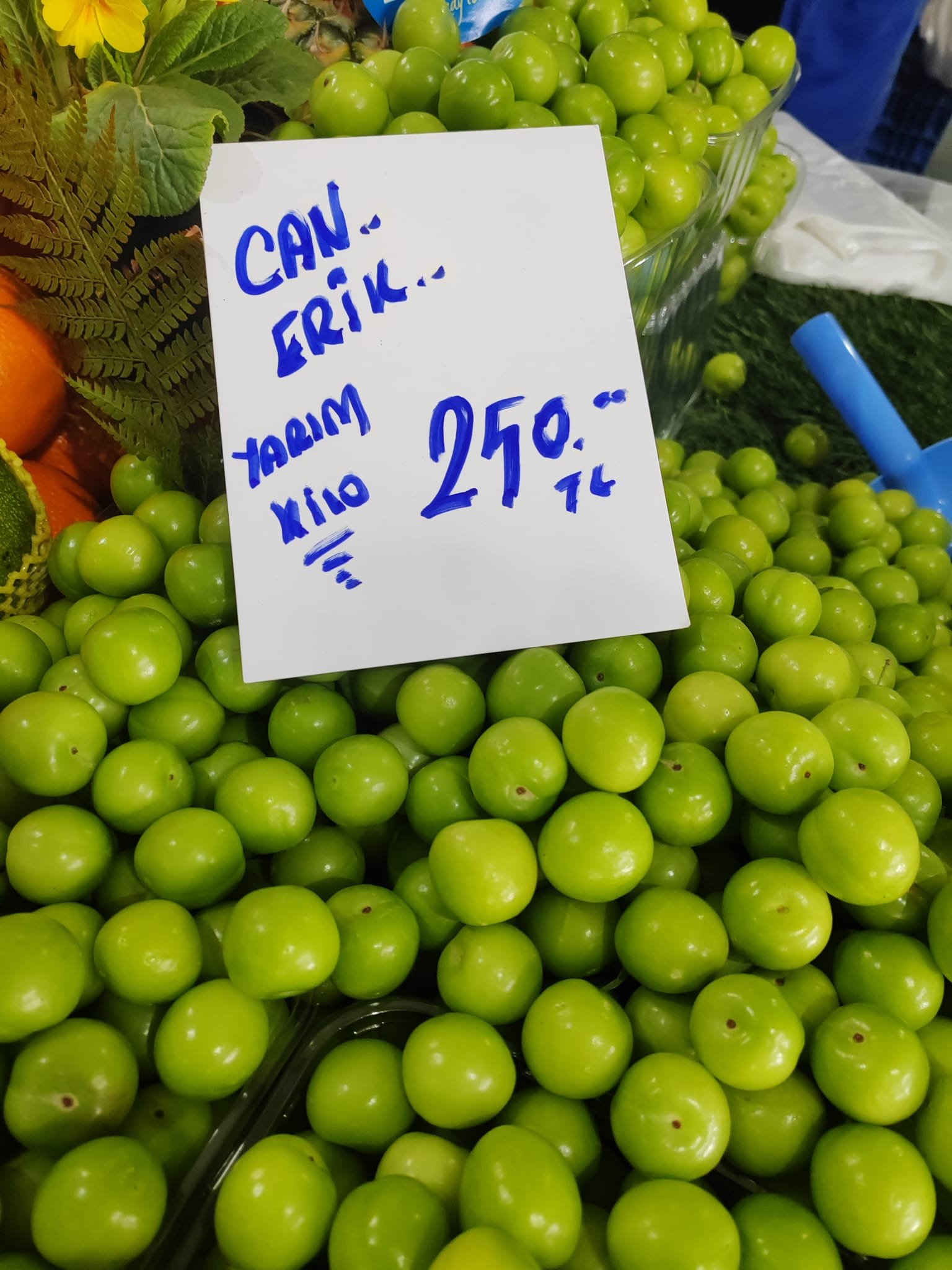 3D3425D4 4231 4Cd5 Bef1 B8Cfb8013Bf4