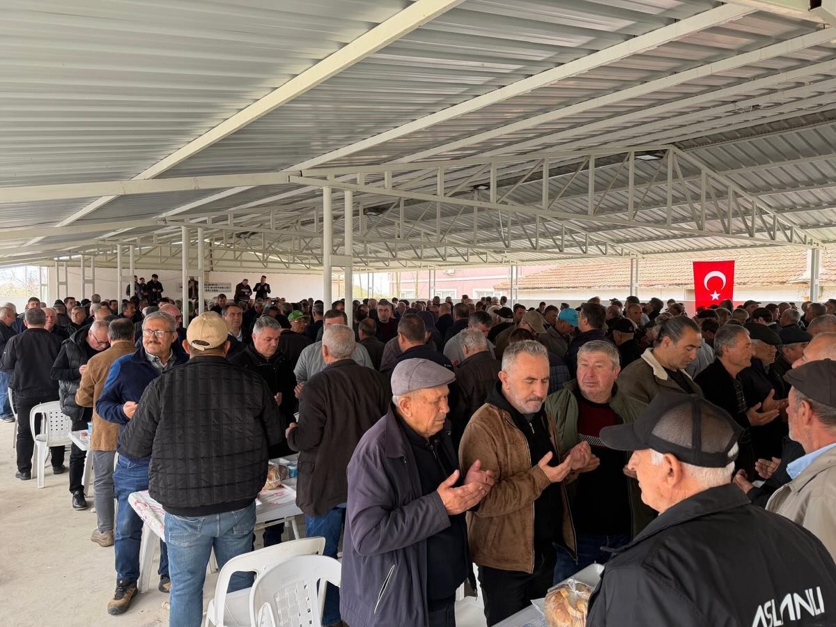 658940789 18195688978357661 7565661781677390918 N