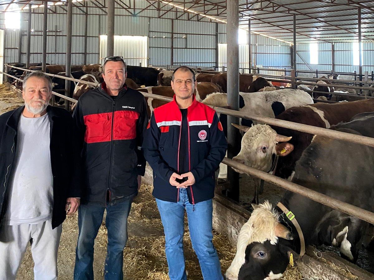 663290761 1408444027963925 8610267868085782067 N