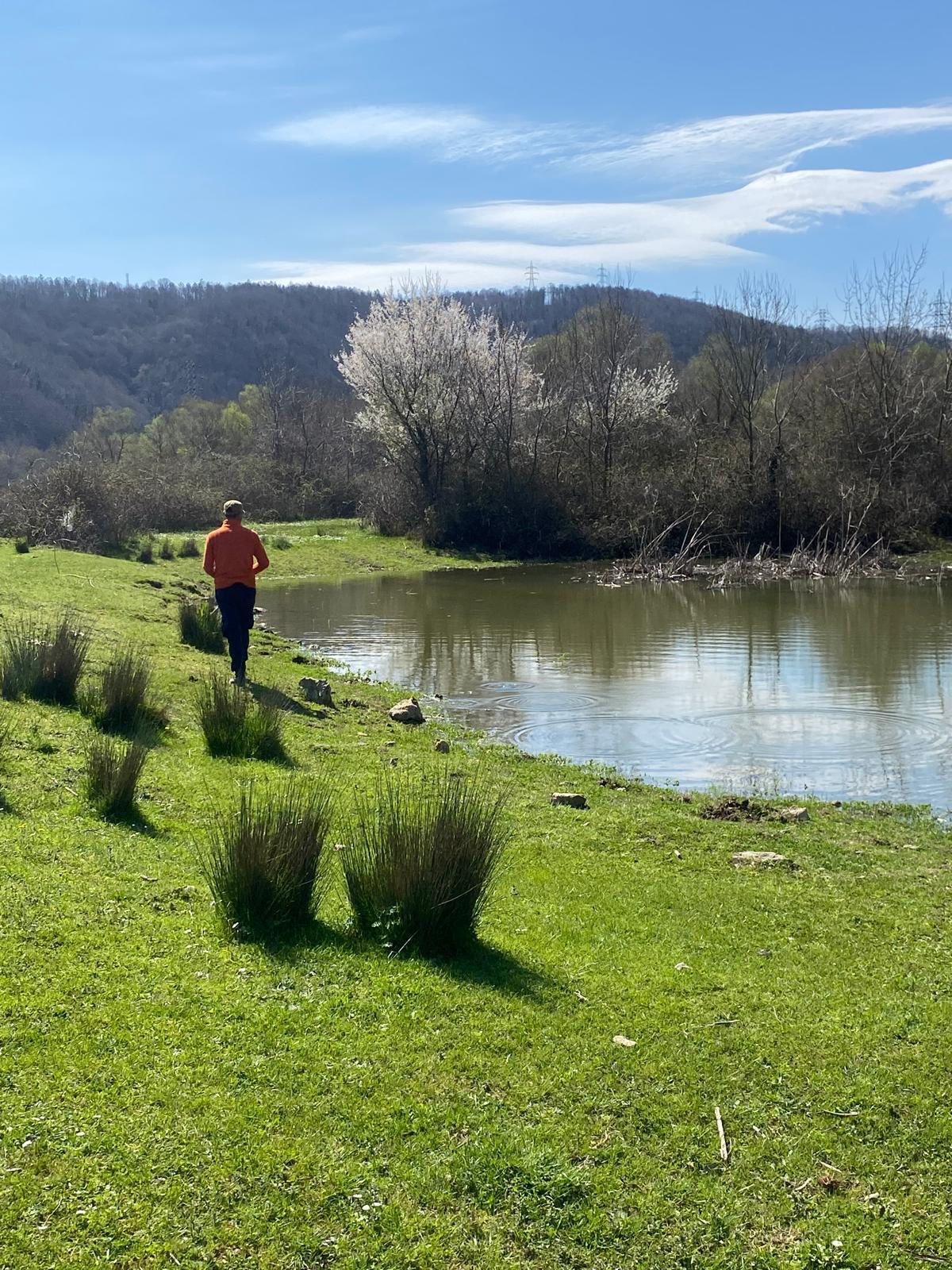 667280094 122248313762274107 7307633074699706474 N