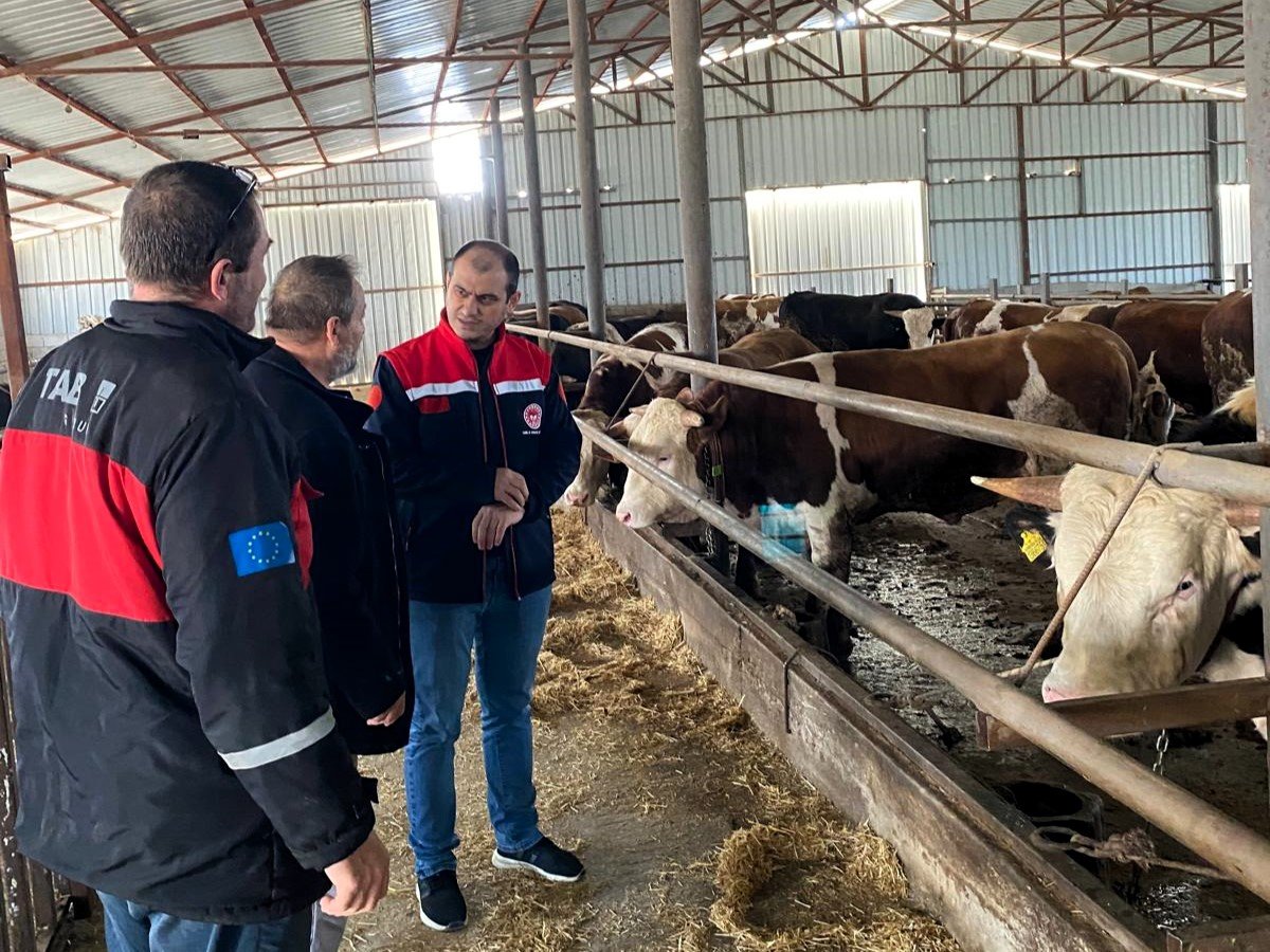 668882289 1408443981297263 5747863045882841339 N