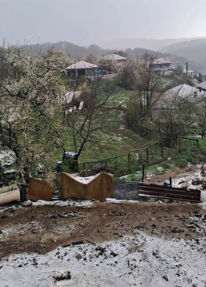 669539540 2022063352052375 797612935178372865 N