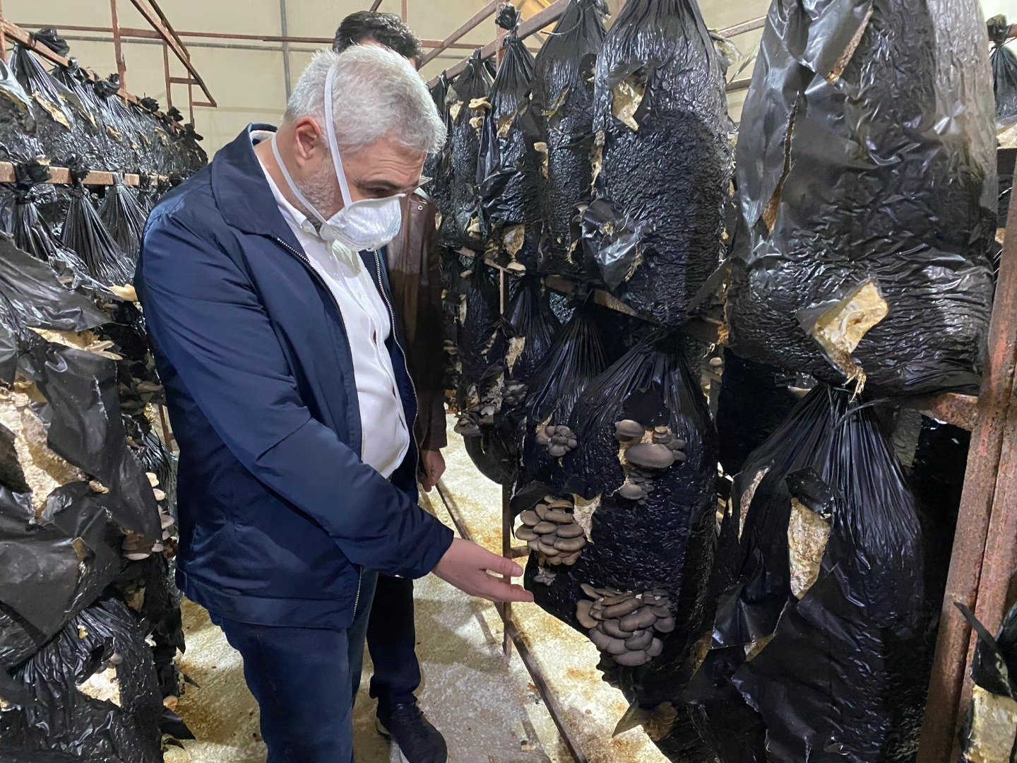 670484466 893461580389607 6028541334266302621 N