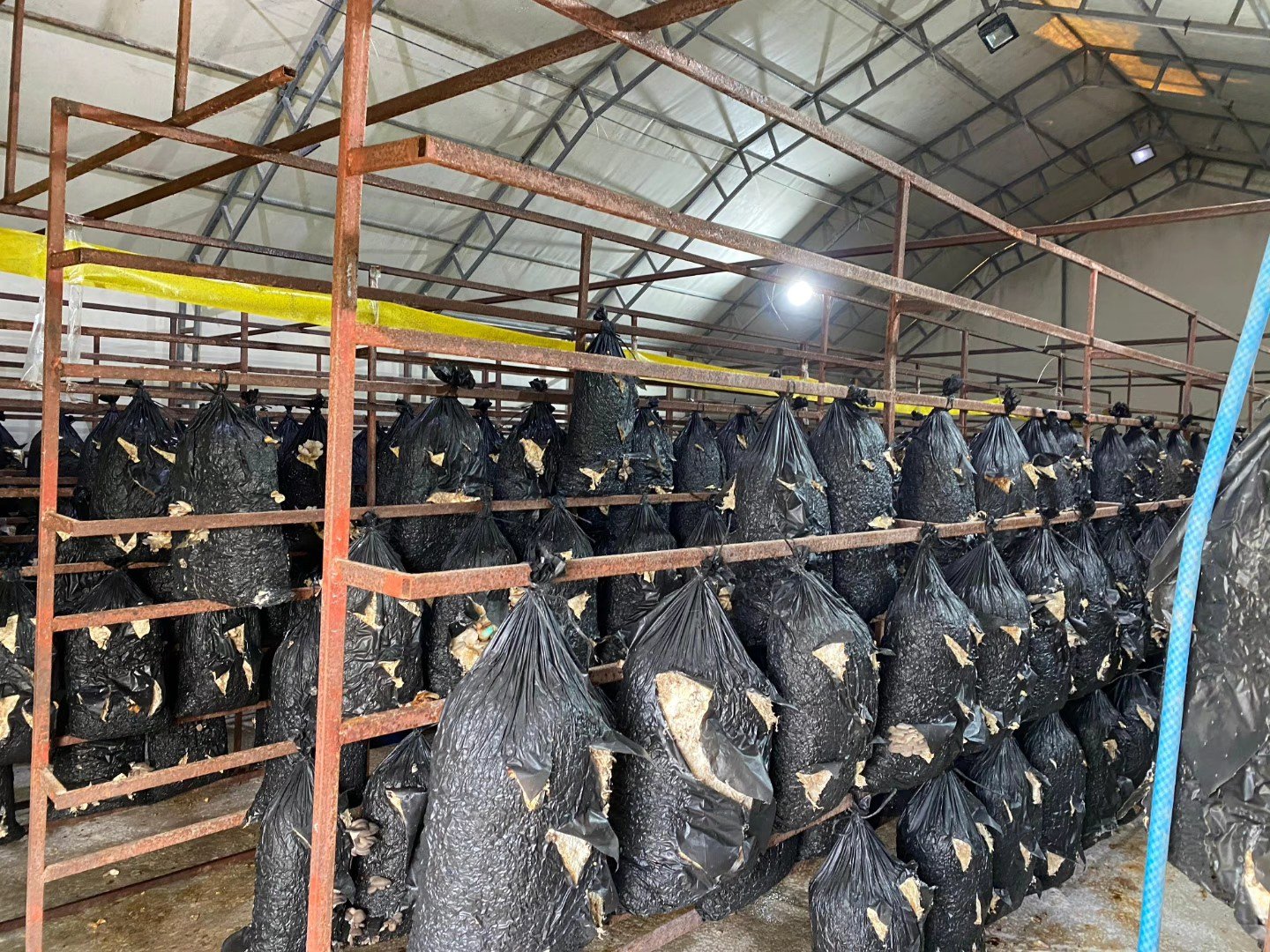 671467474 893461587056273 5495899490151726368 N