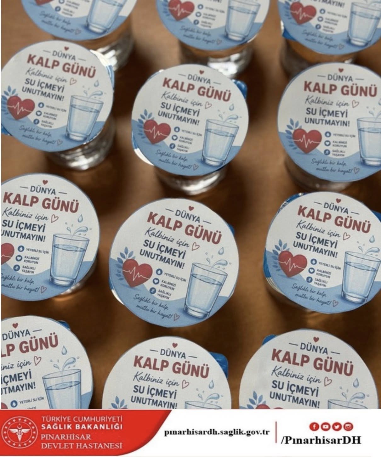 673885197 1442801637646537 9006528034871248540 N