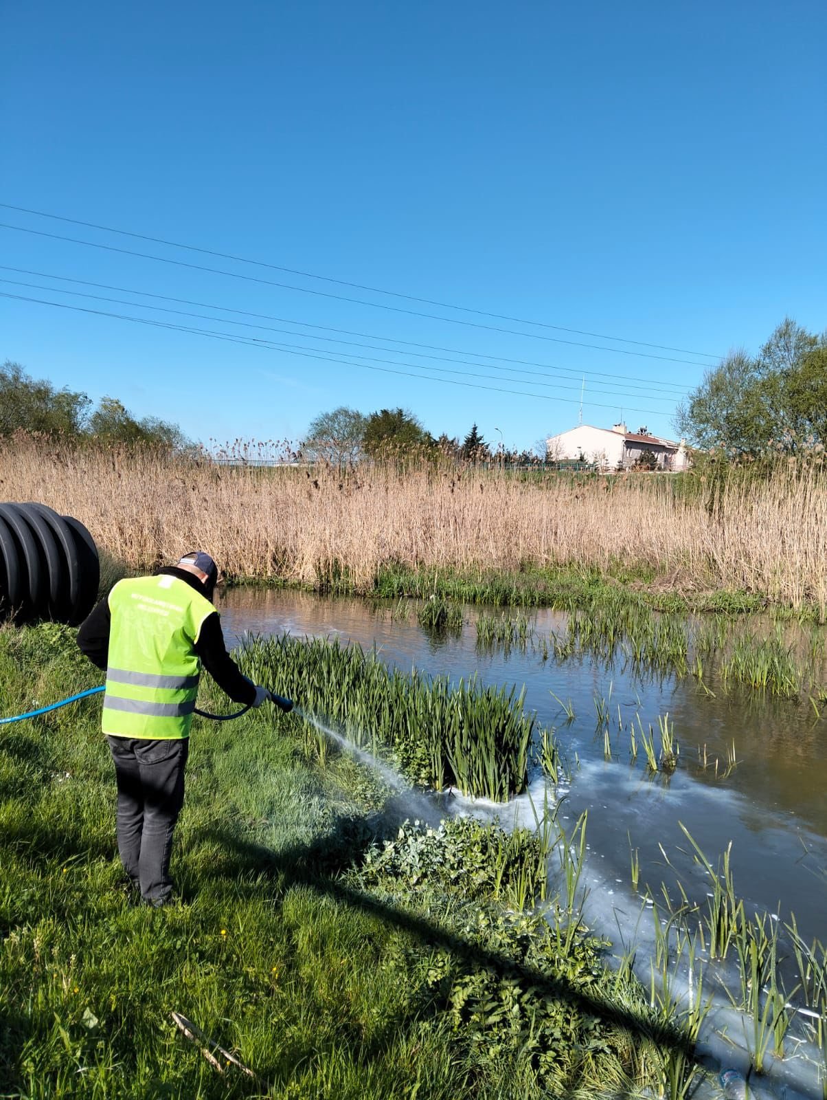 677932849 1245209894446289 7513036413292706119 N