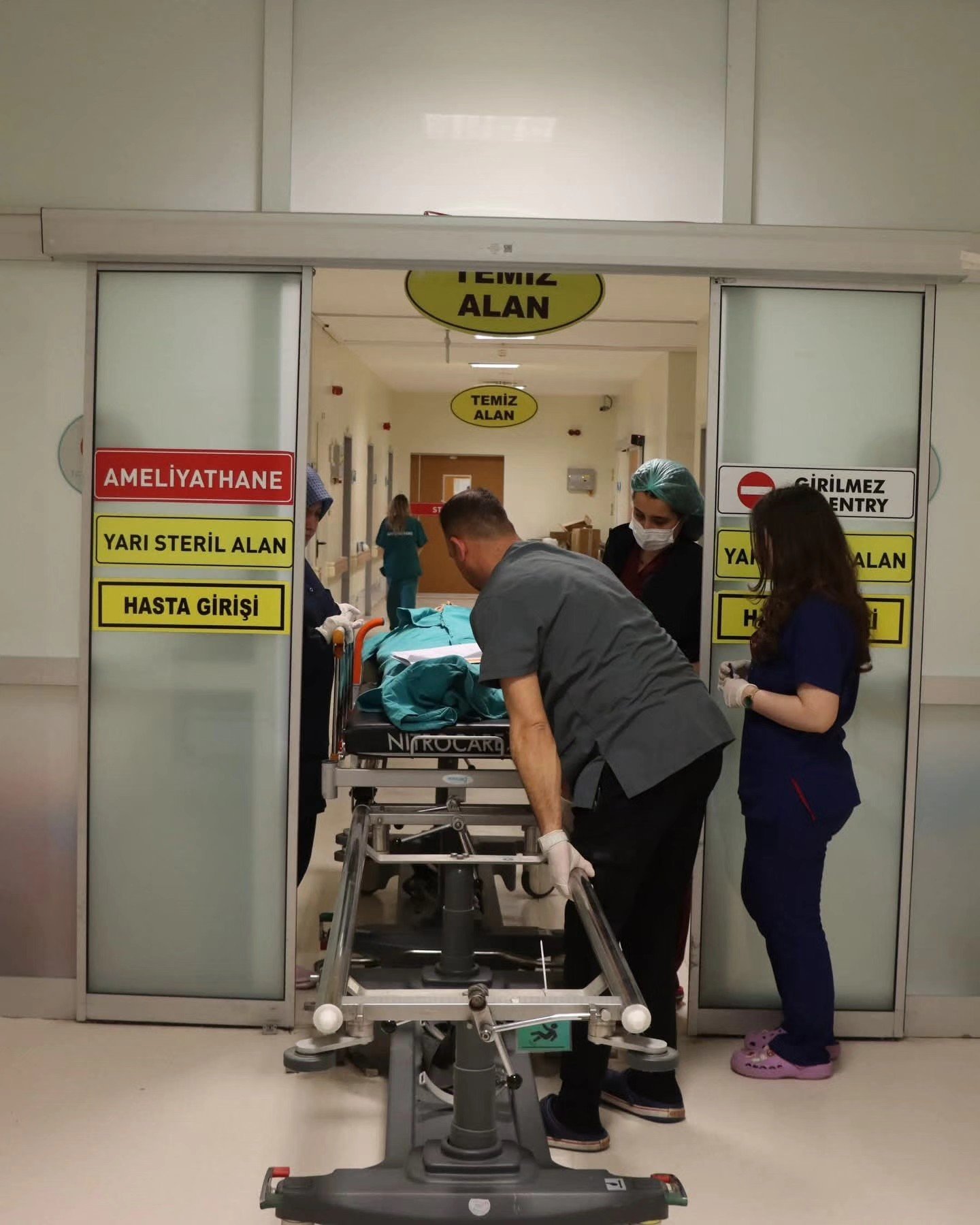 678196199 900756396326792 7116828802535138936 N