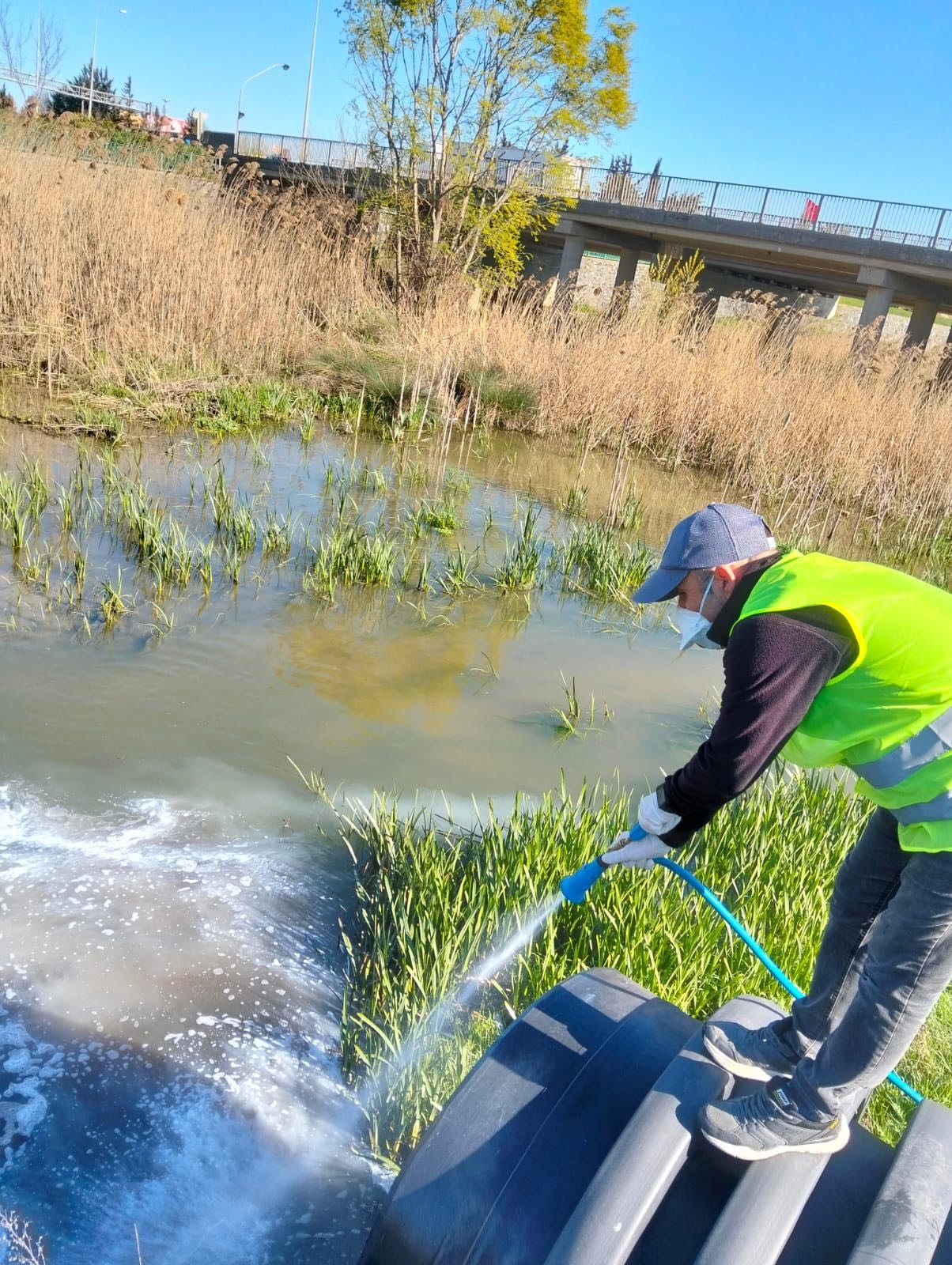 678244986 1245209861112959 3348911561220315156 N