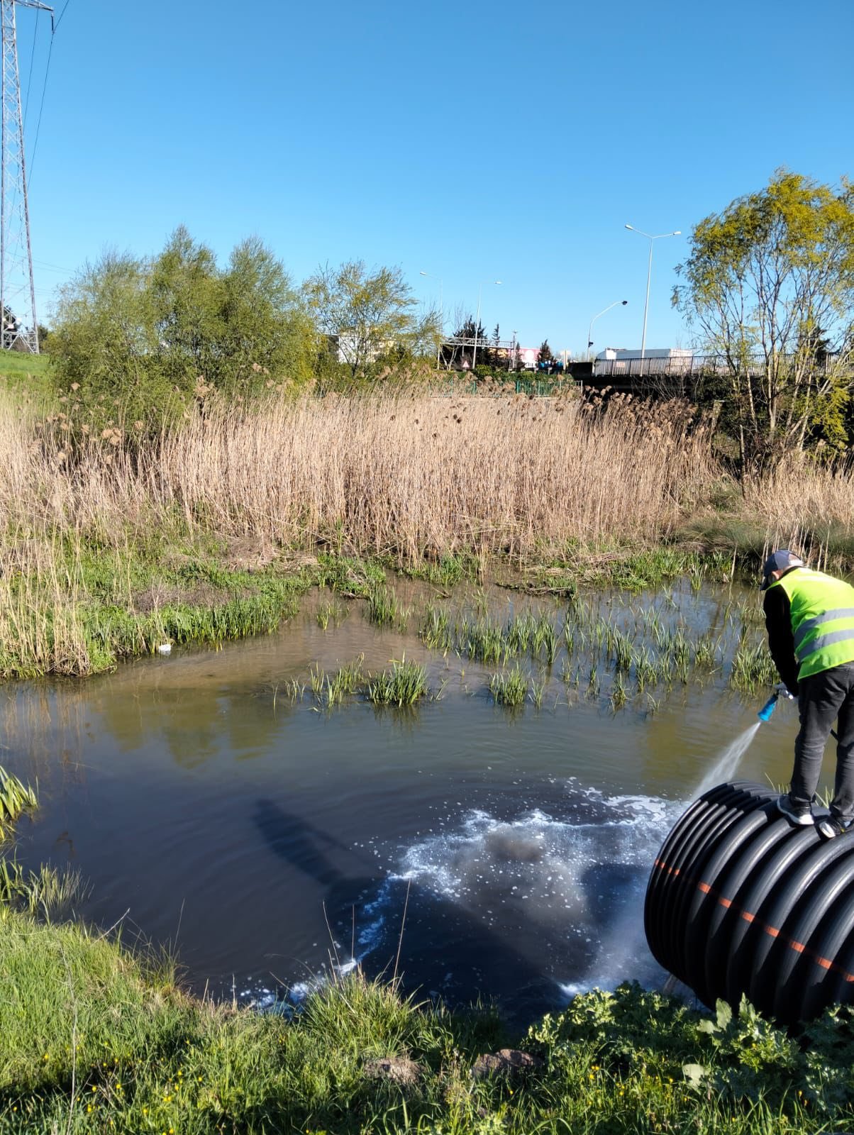 678256144 1245209864446292 417998880393263796 N