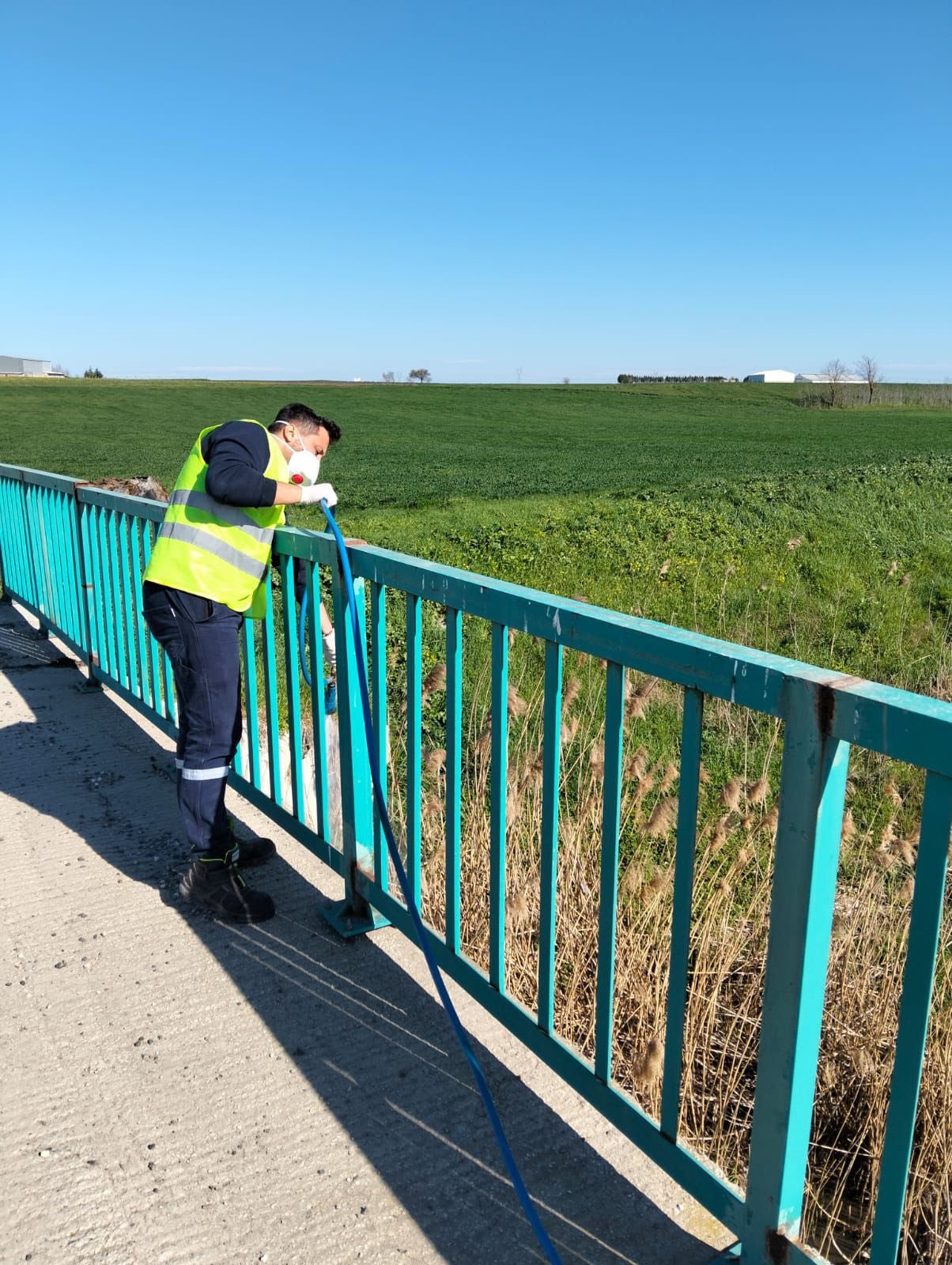 678284886 1245209537779658 5055759258818385015 N