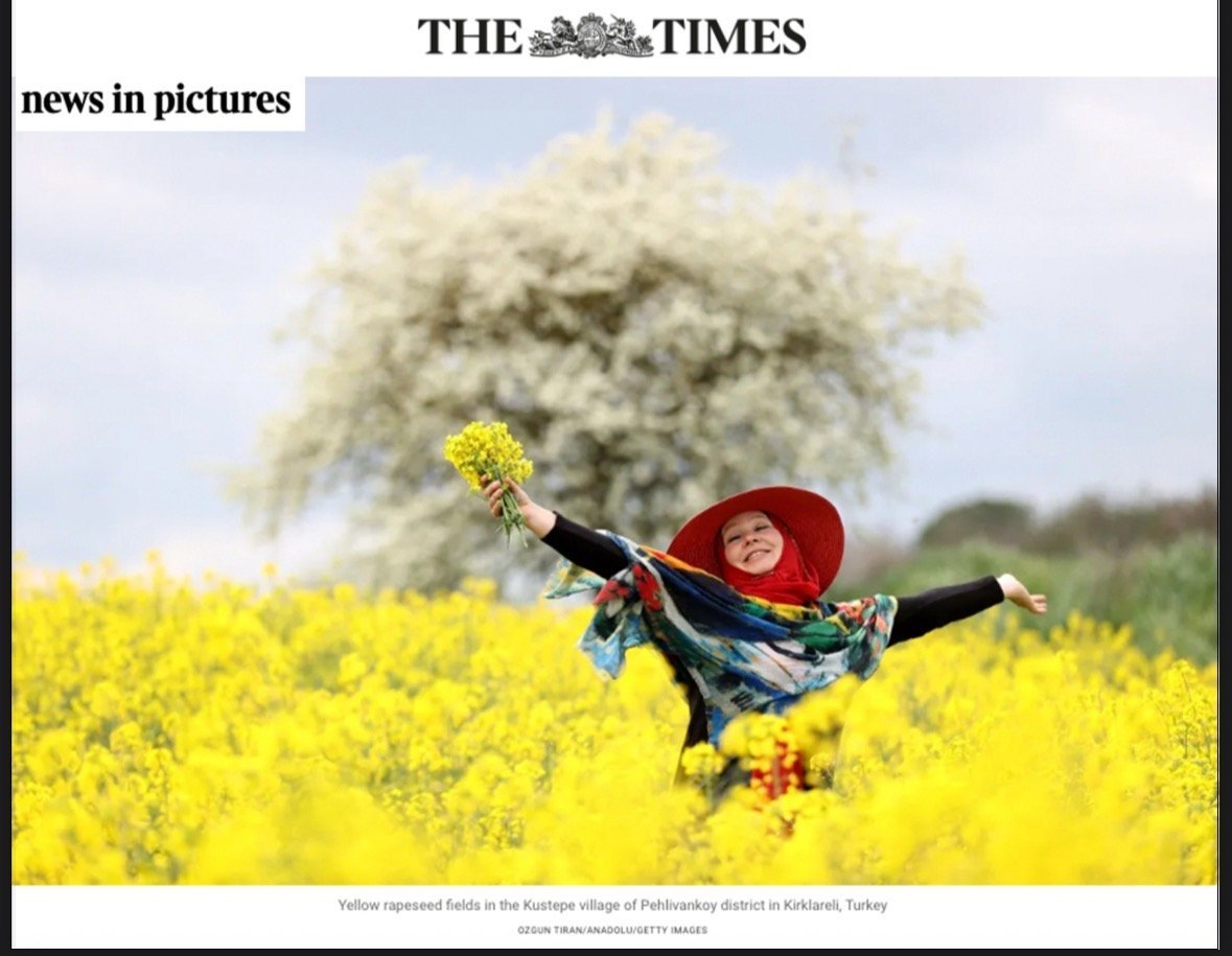 684805828 26269295566086445 3127476323624183256 N