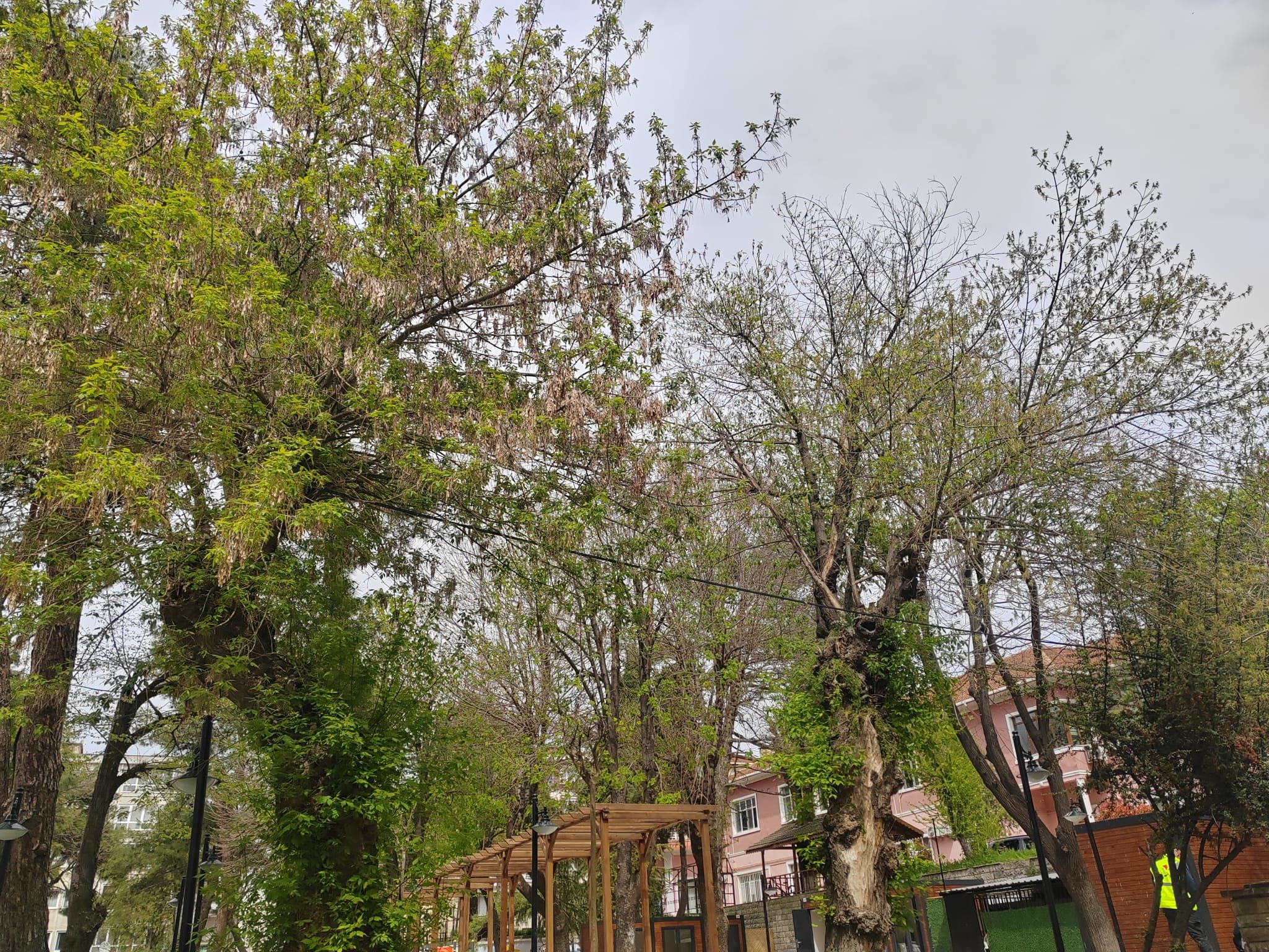 6D094194 9A9E 44Ec Bc39 41Ca98Afc31A