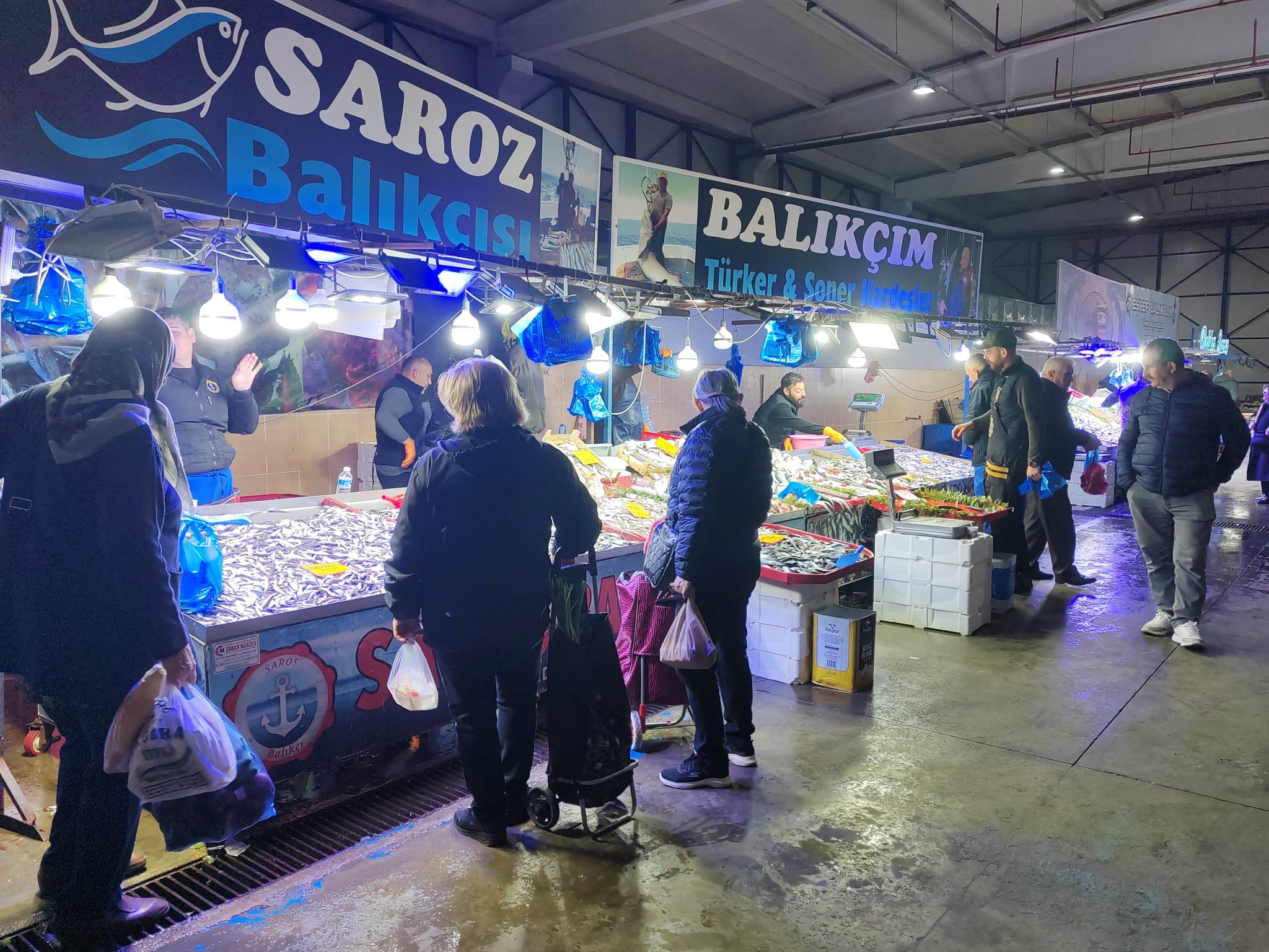 8085C4B5 6Fad 4E43 B3Fc Fe75D6E247De