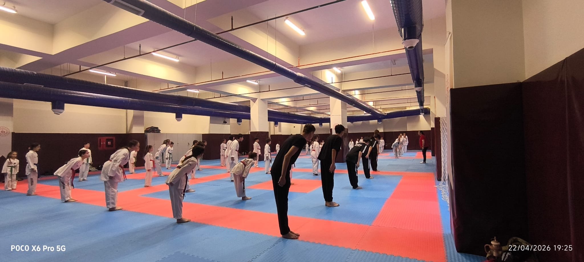 9202A0Aa 3494 41Dc 910F C287706A30E2