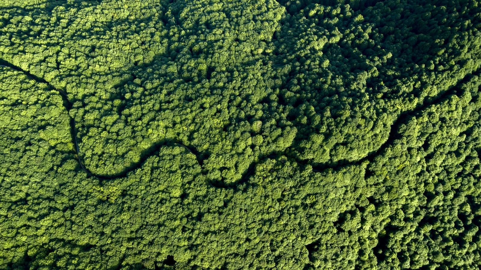 951A947A A37A 41Ca 9Be5 959Aa3Dc4124