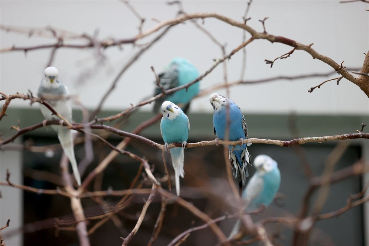 A A 20260414 41100964 41100960 H A S T A N E N I N K A N A T L I S A K I N L E R I H A S T A V E Y A K I N L A R I N A M O R A L O L U Y O R