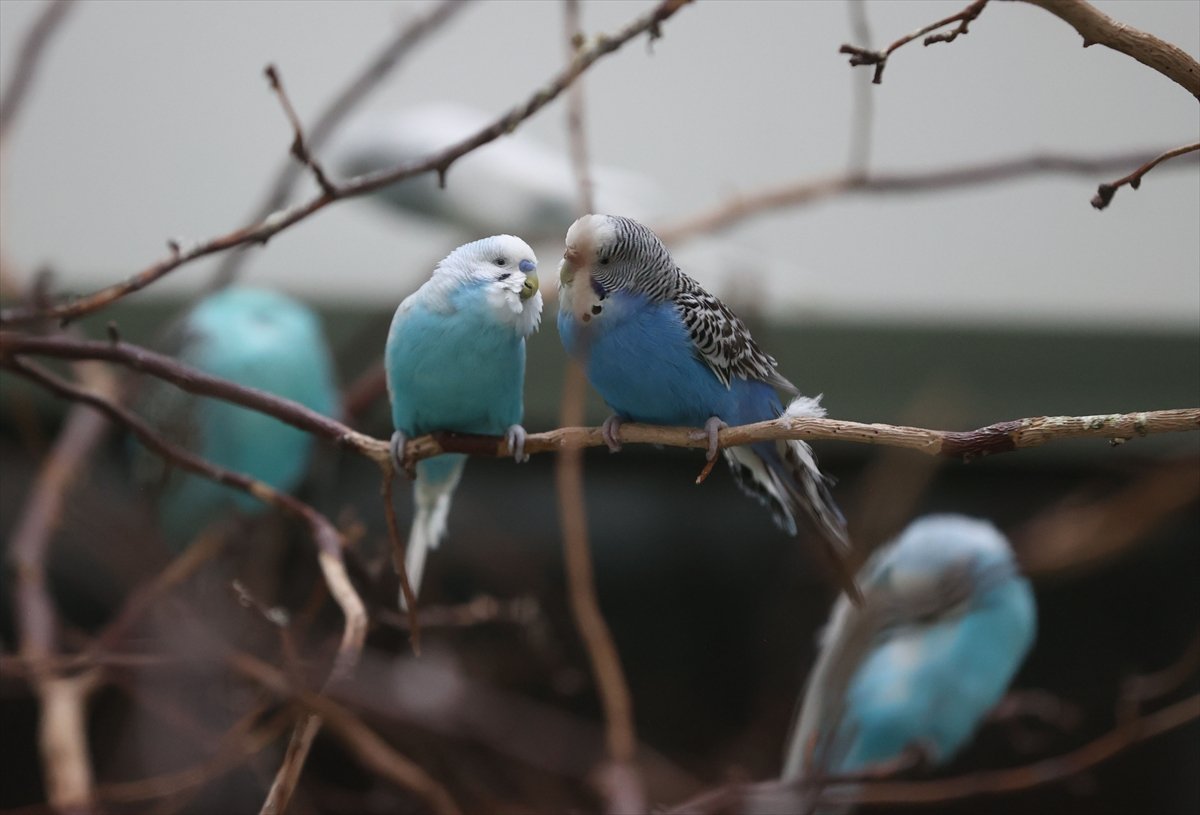 A A 20260414 41100964 41100961 H A S T A N E N I N K A N A T L I S A K I N L E R I H A S T A V E Y A K I N L A R I N A M O R A L O L U Y O R