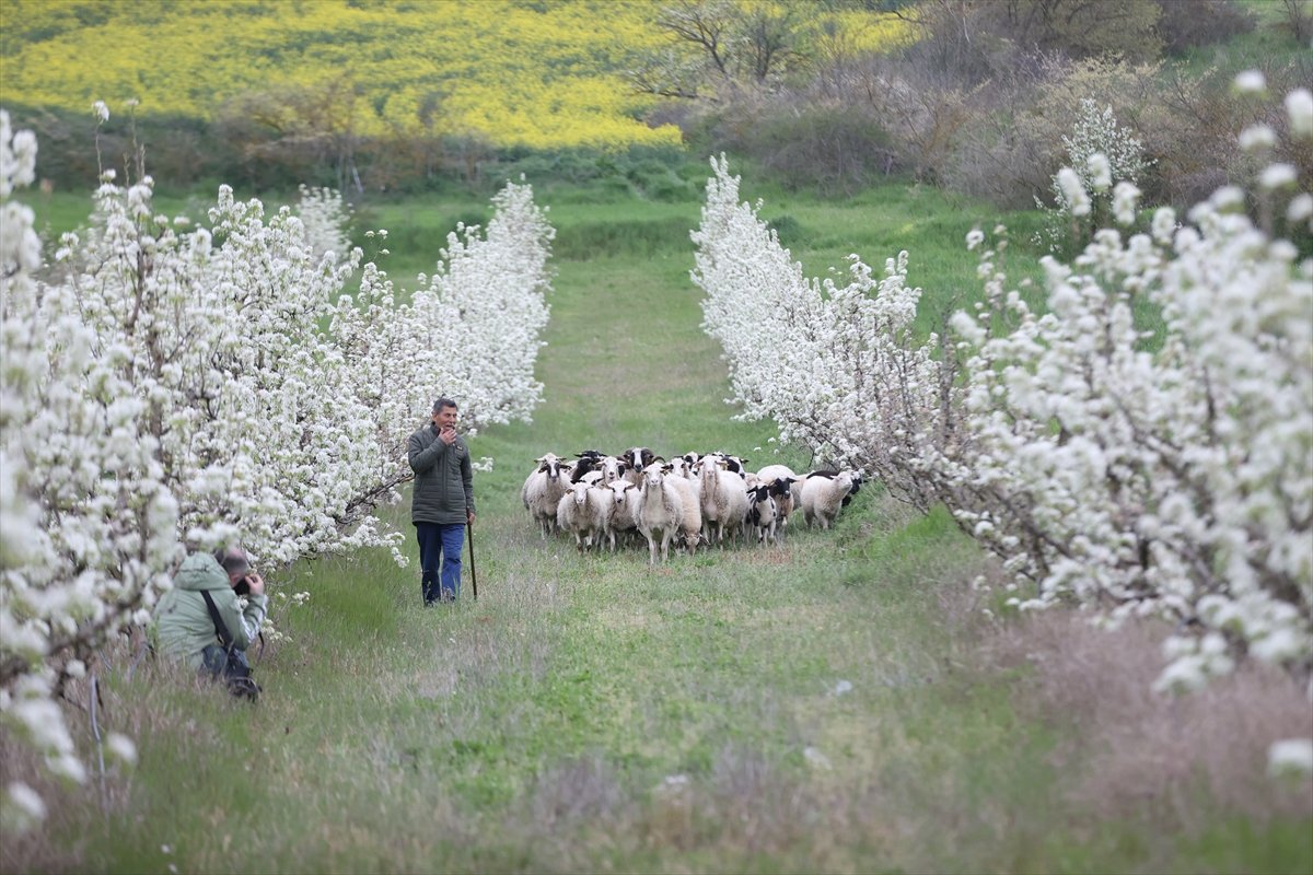 A A 20260418 41140172 41140157 K I R K L A R E L I N D E M E Y V E A G A C L A R I N I N C I C E K A C M A S I Y L A B A H C E L E R B E Y A Z A B U R U N D U