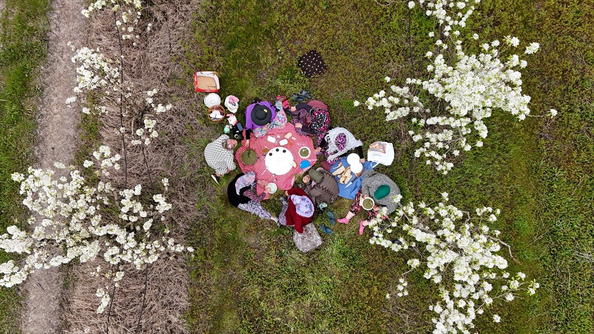 A A 20260418 41140172 41140161 K I R K L A R E L I N D E M E Y V E A G A C L A R I N I N C I C E K A C M A S I Y L A B A H C E L E R B E Y A Z A B U R U N D U