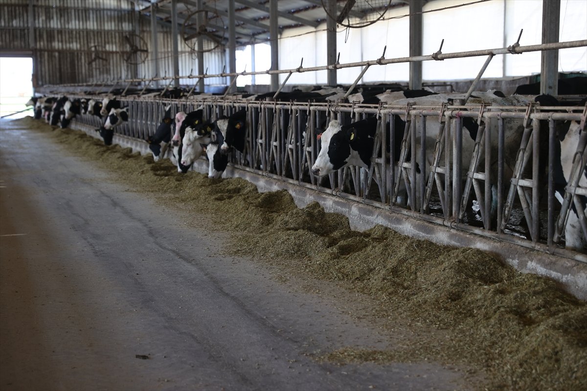 A A 20260426 41213975 41213960 D E V L E T D E S T E G I Y L E K U R D U G U Y E M O T O M A S Y O N S I S T E M I I L E S U T V E R I M I N I A R T I R D I