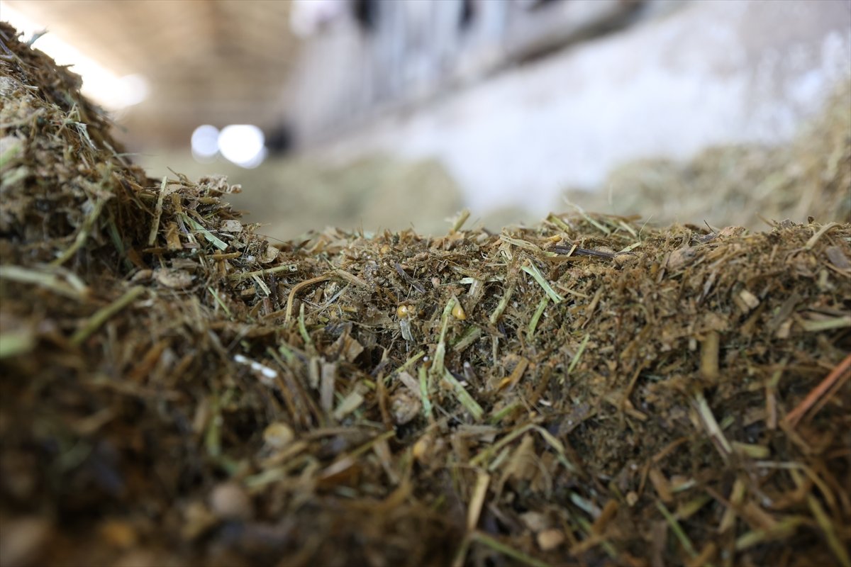 A A 20260426 41213975 41213961 D E V L E T D E S T E G I Y L E K U R D U G U Y E M O T O M A S Y O N S I S T E M I I L E S U T V E R I M I N I A R T I R D I