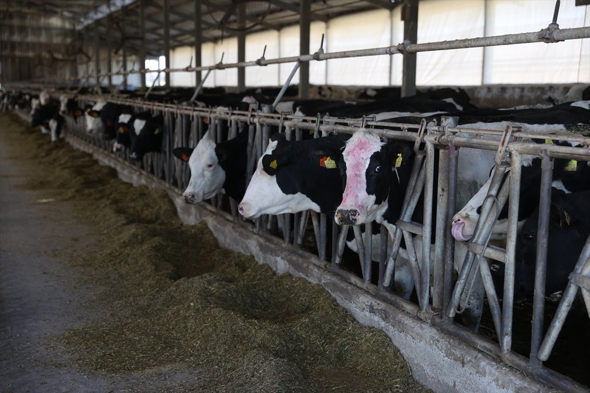 A A 20260426 41213975 41213969 D E V L E T D E S T E G I Y L E K U R D U G U Y E M O T O M A S Y O N S I S T E M I I L E S U T V E R I M I N I A R T I R D I