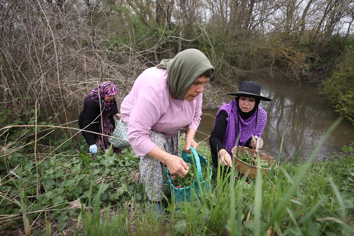 A A 20260430 41249153 41249136 P O M A K L A R I N B A H A R G E L E N E G I K U P R I V A S O F R A L A R D A Y A S A T I L I Y O R