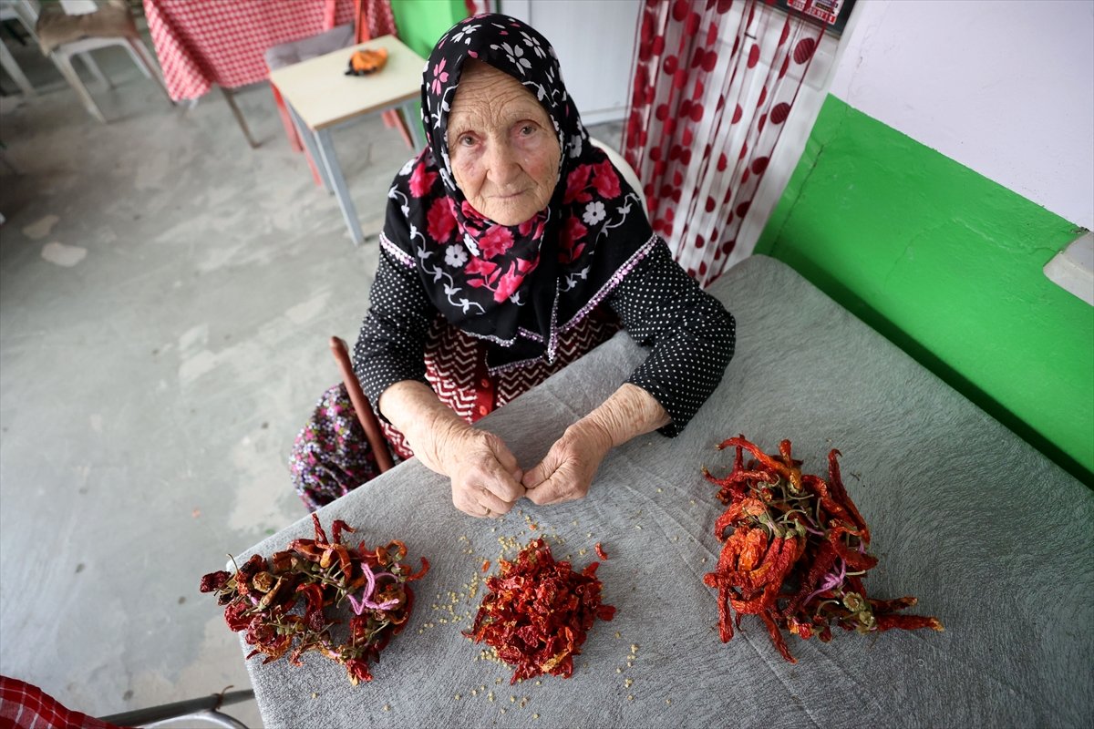 A A 20260430 41249153 41249137 P O M A K L A R I N B A H A R G E L E N E G I K U P R I V A S O F R A L A R D A Y A S A T I L I Y O R