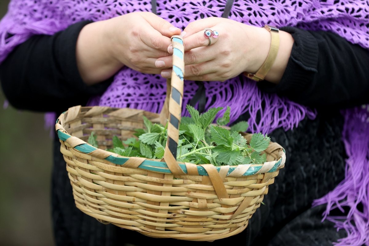 A A 20260430 41249153 41249141 P O M A K L A R I N B A H A R G E L E N E G I K U P R I V A S O F R A L A R D A Y A S A T I L I Y O R