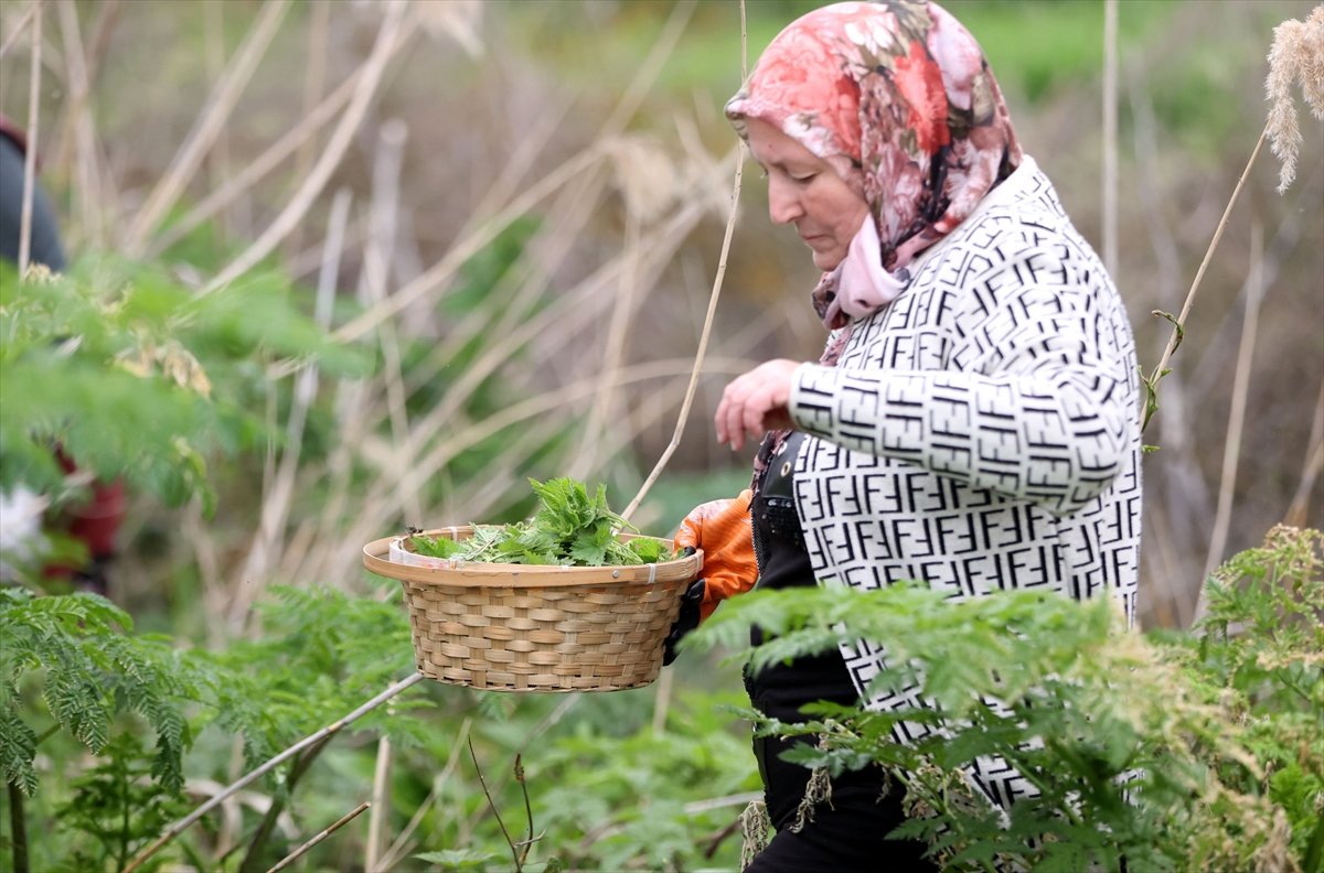 A A 20260430 41249153 41249142 P O M A K L A R I N B A H A R G E L E N E G I K U P R I V A S O F R A L A R D A Y A S A T I L I Y O R