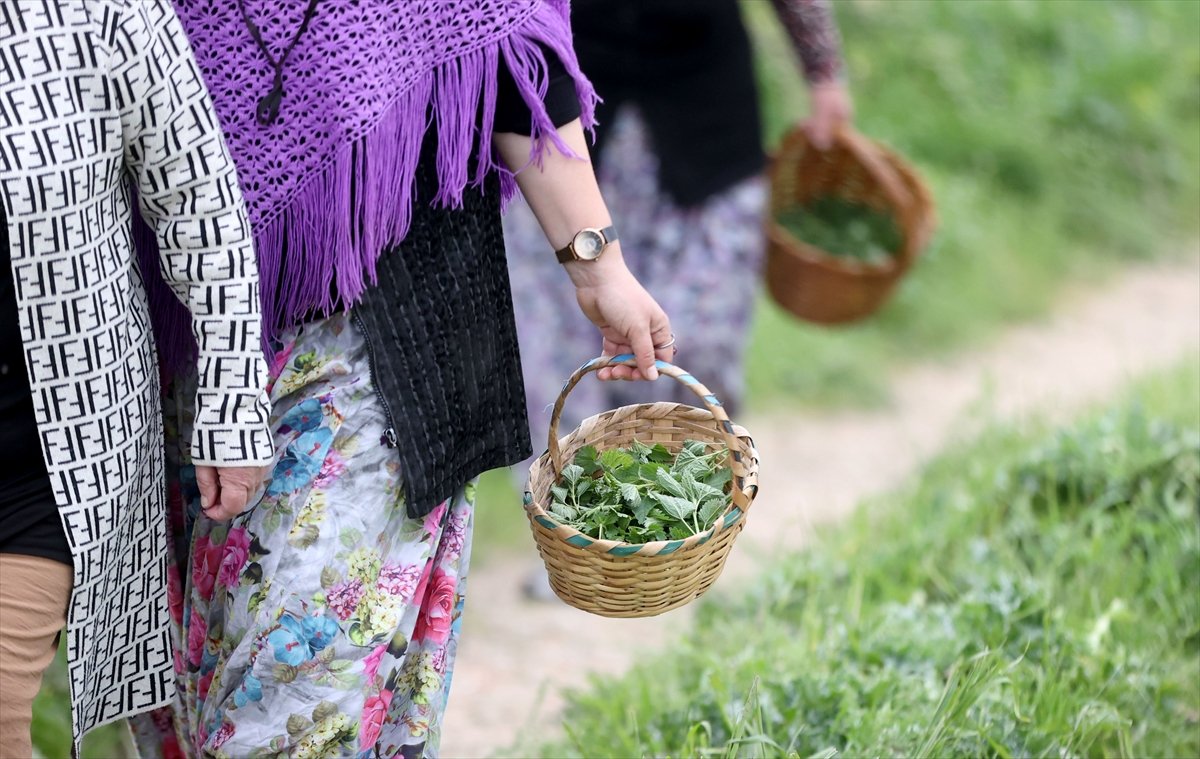 A A 20260430 41249153 41249147 P O M A K L A R I N B A H A R G E L E N E G I K U P R I V A S O F R A L A R D A Y A S A T I L I Y O R